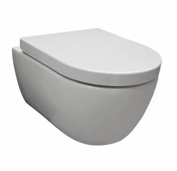 Saniful Wandcloset Rimfree compact met softclose zitting